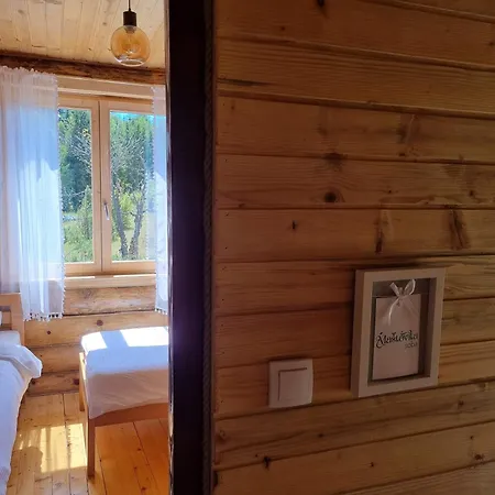 Beloglavi Sup * Нова-Варош