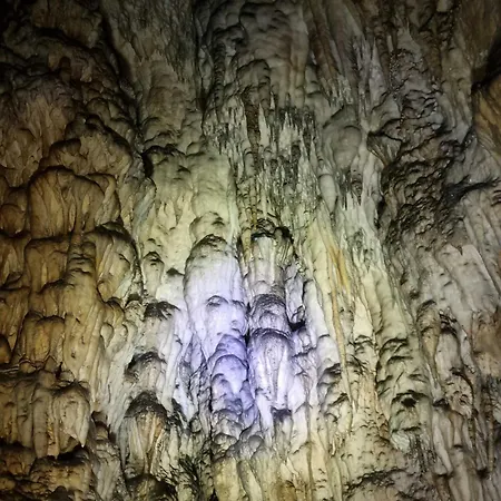 Beloglavi Sup Вилла *